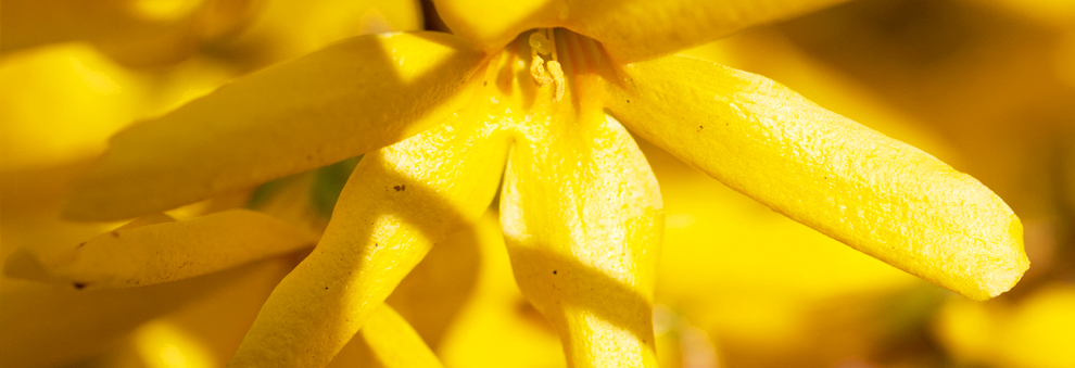 一键解决问题的在线DDOS压力测试网页端